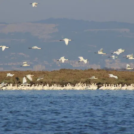 Cosy Alojamento de Acomodação e Pequeno-almoço