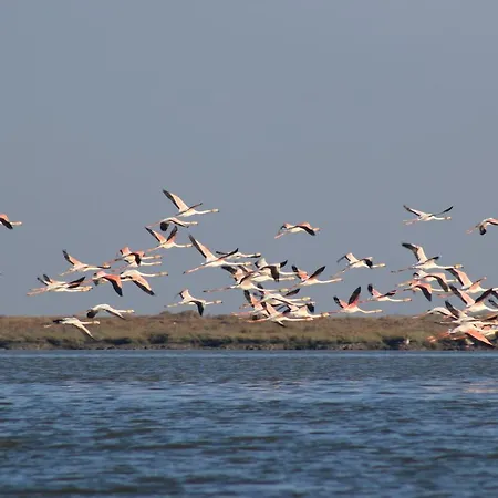 Cosy Alojamento de Acomodação e Pequeno-almoço Sacavém