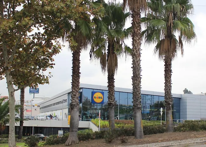 Bed & Breakfast Cosy Sacavém