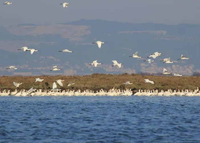 Cosy Bed & Breakfast