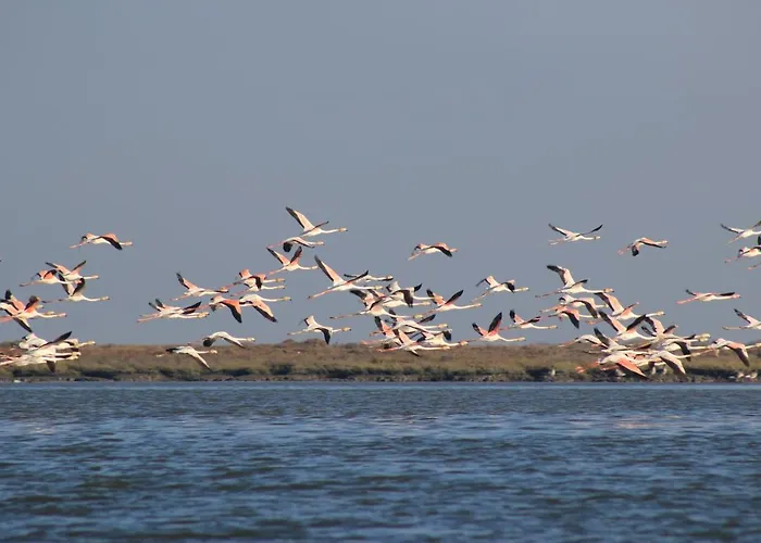 Cosy Bed & Breakfast Sacavém
